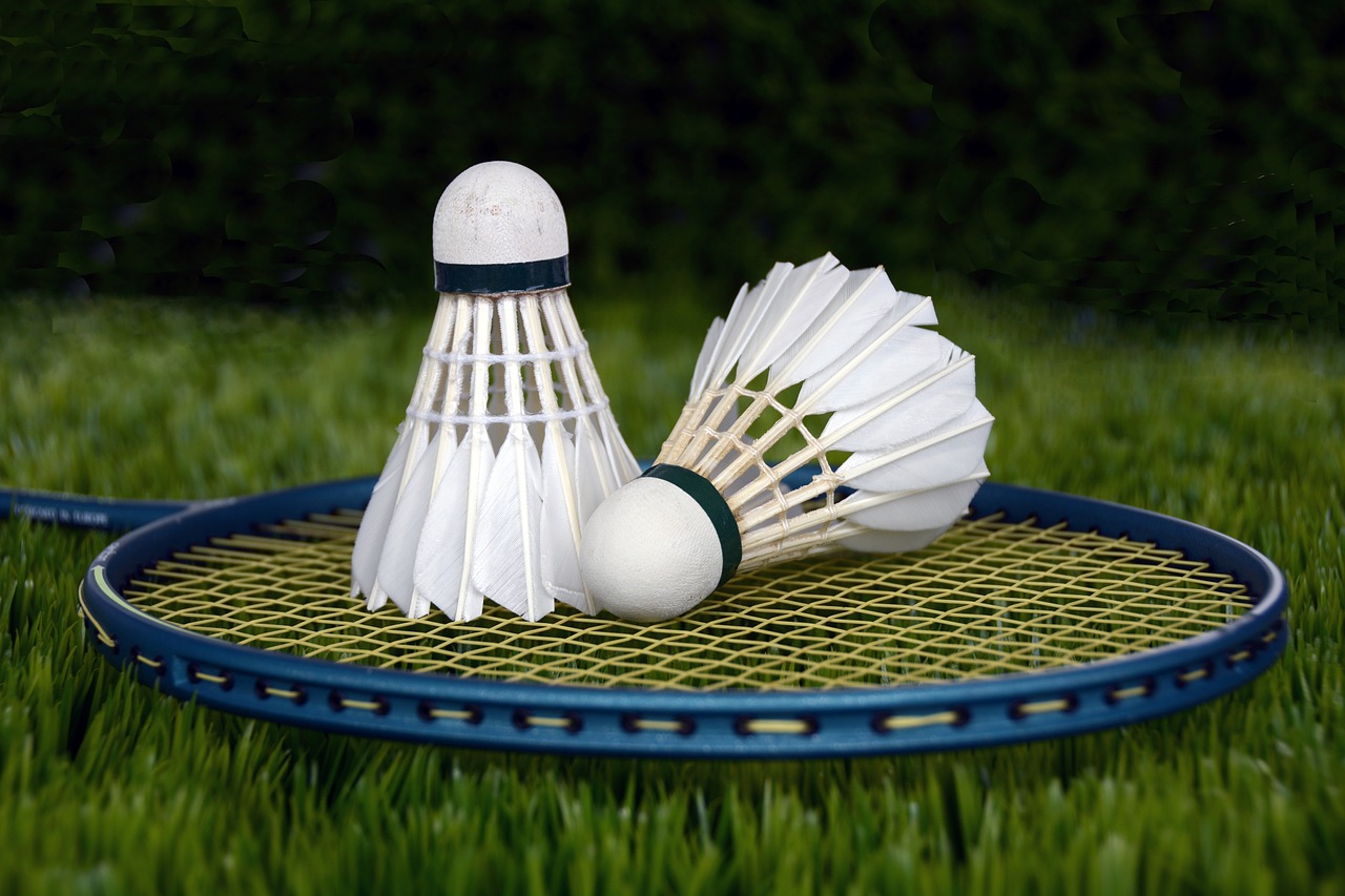 badminton, shuttle, sports-1428047.jpg